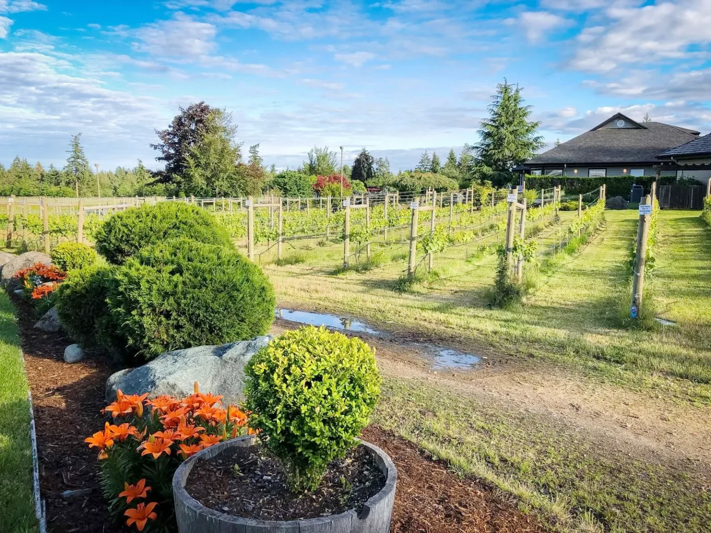40 Knots Winery, Courtenay Comox BC Vancouver Island