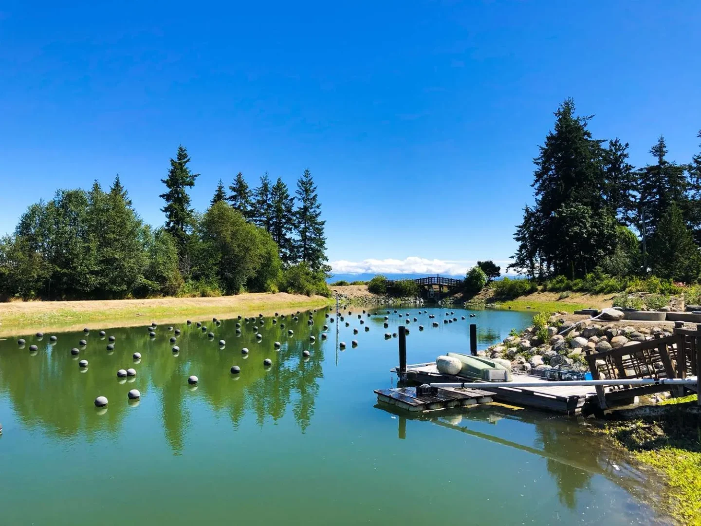 Manatee Holdings Hatchery, BC Seafood Festival, Courtenay Comox BC
